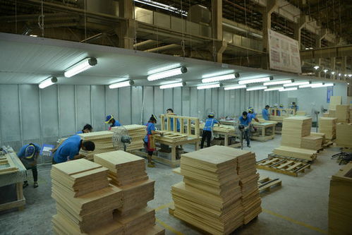 松堡王国 以绿色环保为核，领航儿童生态家居新时代